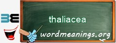 WordMeaning blackboard for thaliacea